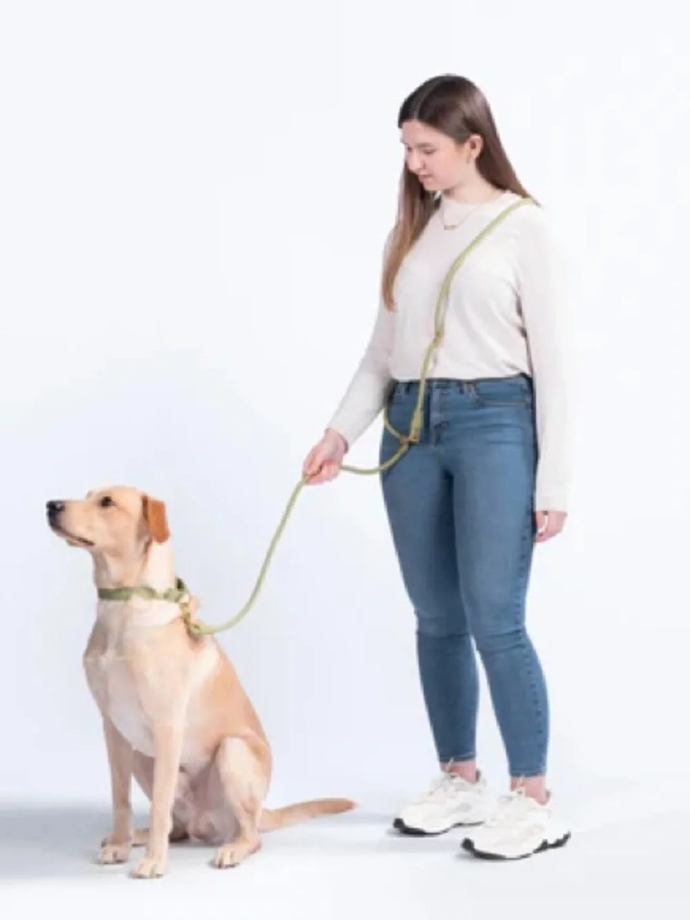 AWOO Roam Harness in Large & Infinity Leash